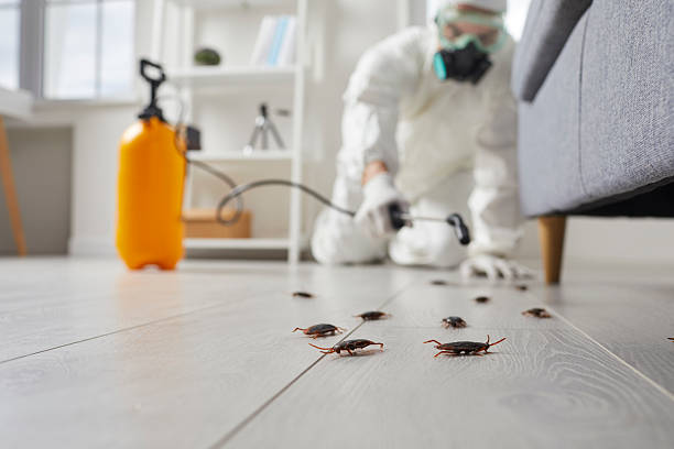 Trusted Cockroach Control service in Milford, IN - Nex Pest Control
